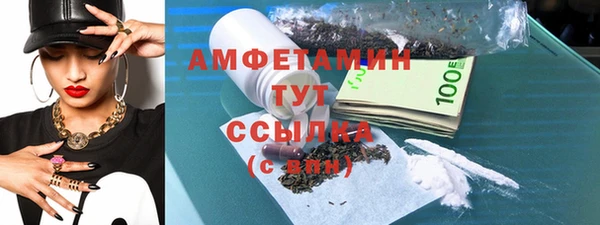 прущие грибы Инта