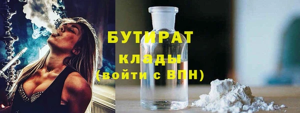 прущие грибы Инта