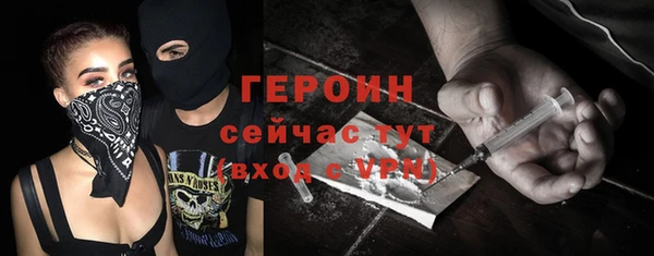 прущие грибы Инта