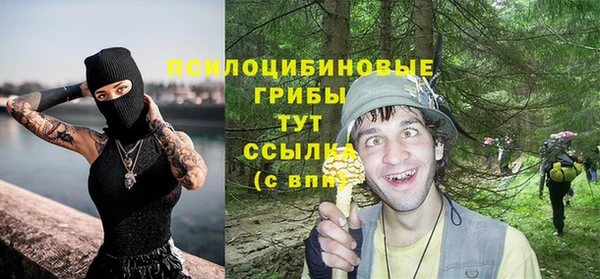мяу мяу кристалл Инсар