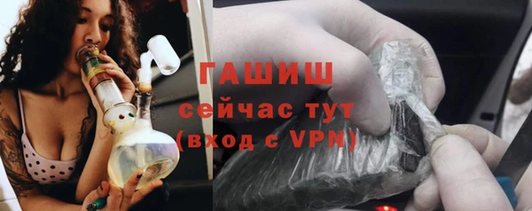 прущие грибы Инта