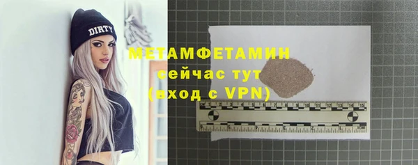 прущие грибы Инта