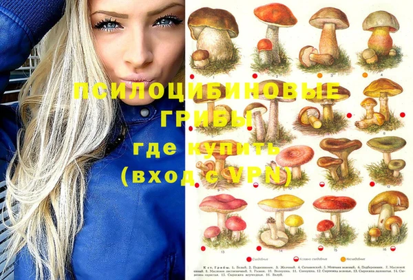 мяу мяу кристалл Инсар