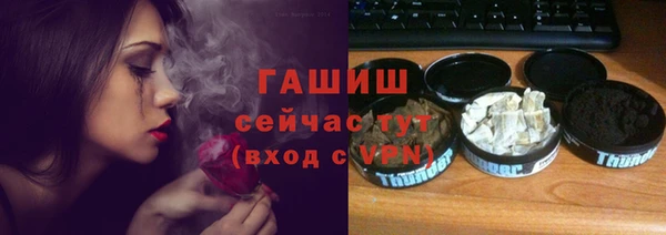 прущие грибы Инта