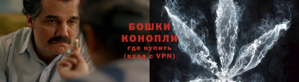 прущие грибы Инта