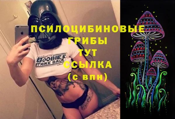 прущие грибы Инта