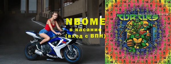прущие грибы Инта