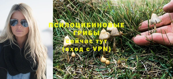мяу мяу кристалл Инсар